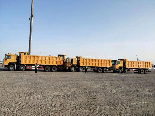 Cnhtc HOWO Sinotruk 8X4 Dump Truck/Tipper Truck/Heavy Duty Truck met 300L Tanker