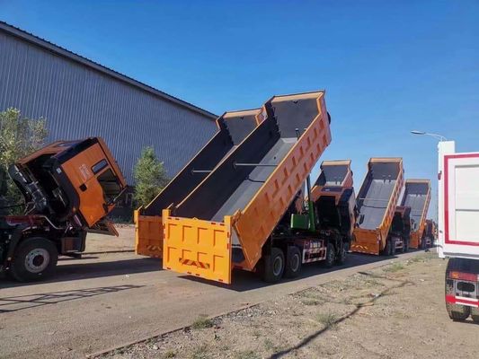 Shacman 8X4 Dump Truck Zware tipper Truck met Hw19710 Transmissie en 2 sets Achteras