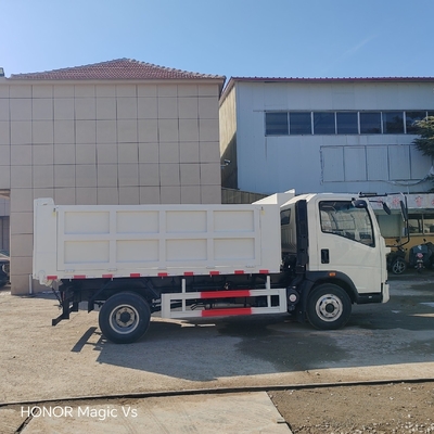 4X2 lichte vracht/dumptruck voor Afrika LHD/RHD rijstijl ECE bandencertificering