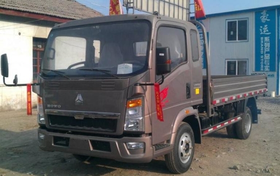 2.4 ton Vooras Mini Truck Dump/Cargo Truck voor Afrika Laadgewicht 1-10 ton
