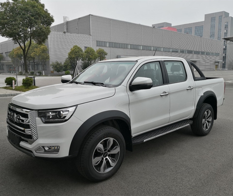 JAC Mini Diesel Benzine 4X4/4X2 pick-up truck voor klantvereisten